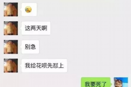 洛扎讨债公司